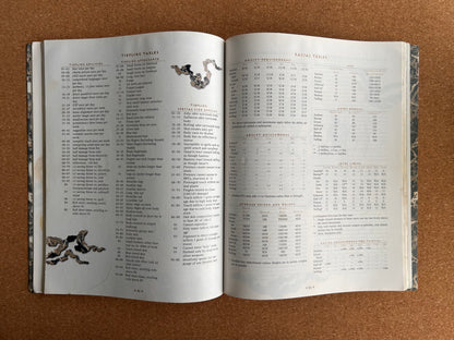 Advanced Dungeons & Dragons Plane Scape - The Planewalker’s Handbook - TSR2620 - Paperback (1996)