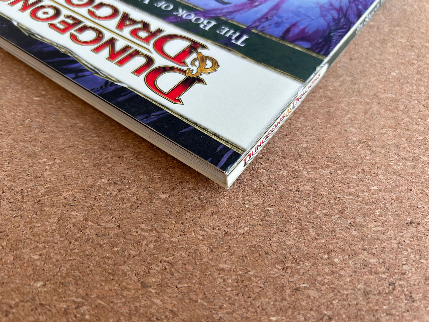 Dungeons & Dragons 4th Edition - The Book of Vile Darkness - WOTC Paperback (2011)
