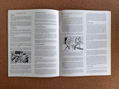 Dungeons & Dragons Module B3 - Palace of the Silver Princess - TSR9044 - Paperback (1981)