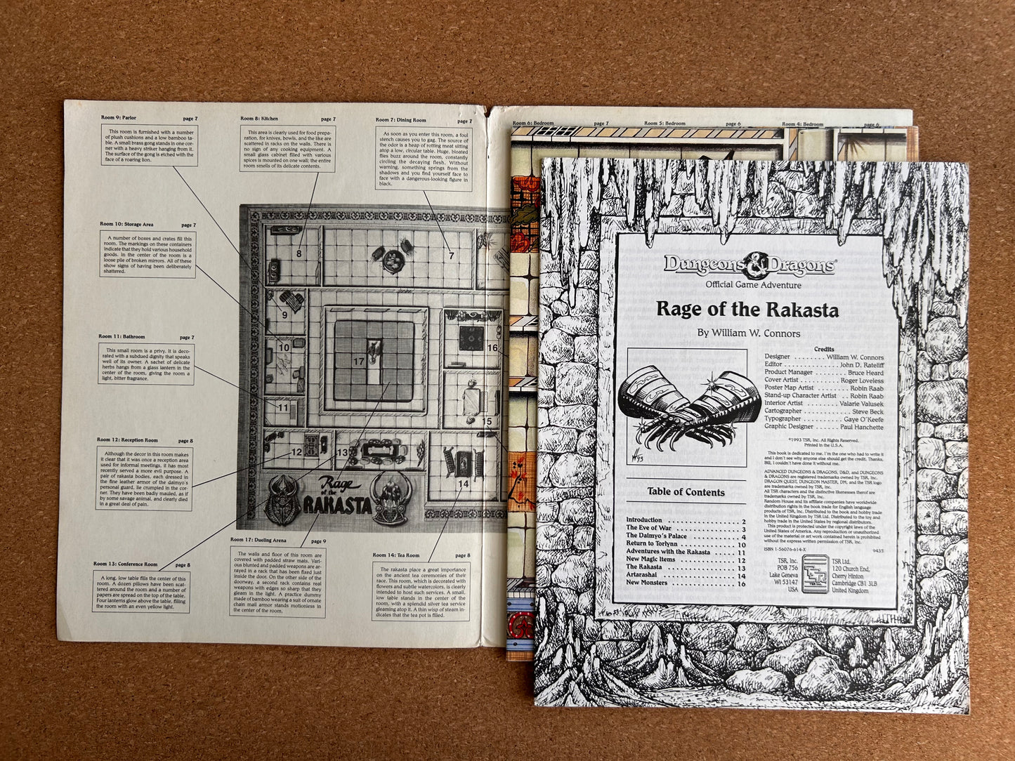 Dungeons & Dragons Game Accessory - Rage of Rakasta TSR9435 - Paperback (1993)