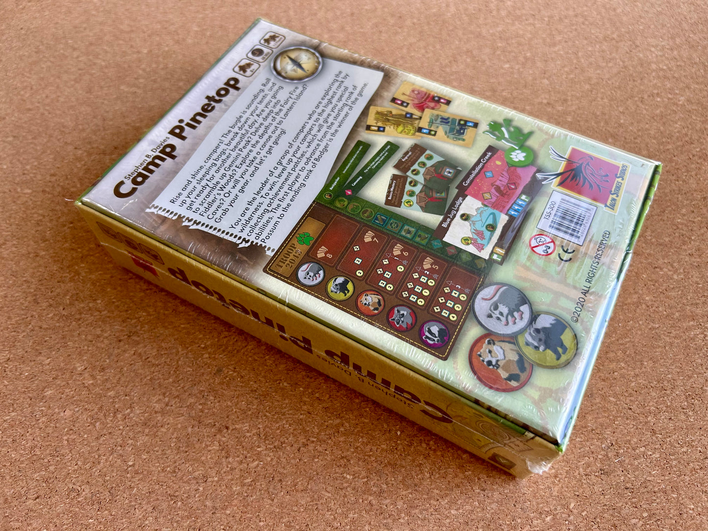 Camp Pinetop Card Game - Talon Strikes Studio (2020)